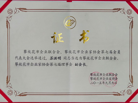 2015-企業(yè)聯(lián)合會(huì)副會(huì)長